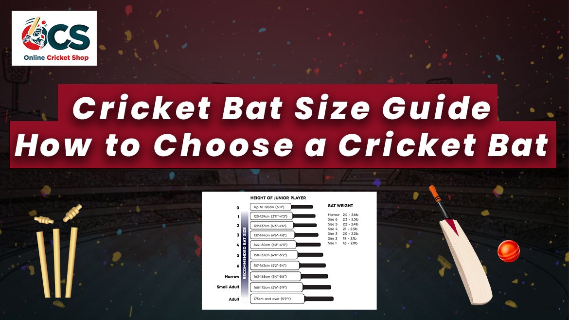 Cricket Bat Size Guide - How to Choose a Cricket Bat?