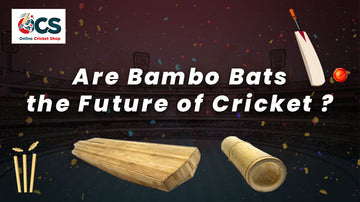 Are Bamboo Bats the Future of Cricket?