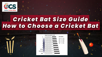 Cricket Bat Size Guide - How to Choose a Cricket Bat?