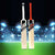 MB Malik MBS World Class Edition Two Cricket Bat Pack