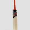 MB Malik MBS World Class (AK) Azam Khan Edition Cricket Bat